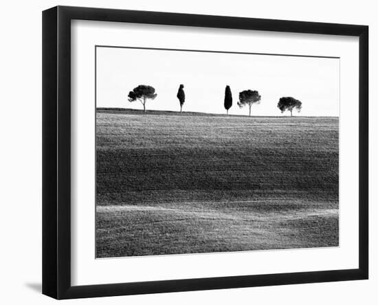 Classic Tuscan Landscape, Near San Quirico, Valle De Orcia, Tuscany, Italy-Nadia Isakova-Framed Photographic Print