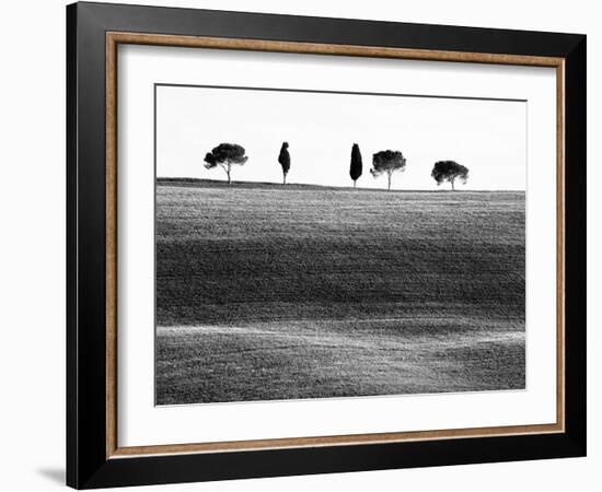 Classic Tuscan Landscape, Near San Quirico, Valle De Orcia, Tuscany, Italy-Nadia Isakova-Framed Photographic Print