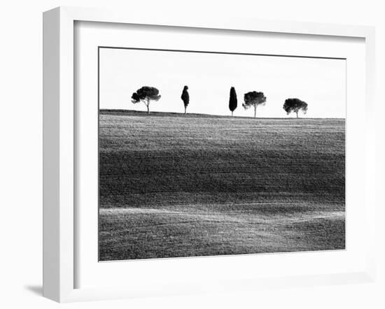 Classic Tuscan Landscape, Near San Quirico, Valle De Orcia, Tuscany, Italy-Nadia Isakova-Framed Photographic Print