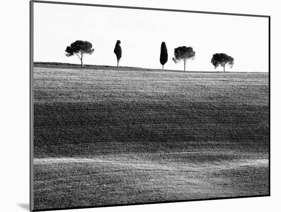 Classic Tuscan Landscape, Near San Quirico, Valle De Orcia, Tuscany, Italy-Nadia Isakova-Mounted Photographic Print