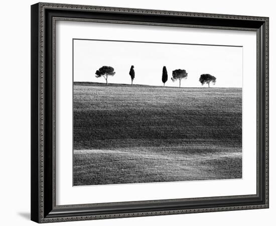 Classic Tuscan Landscape, Near San Quirico, Valle De Orcia, Tuscany, Italy-Nadia Isakova-Framed Photographic Print