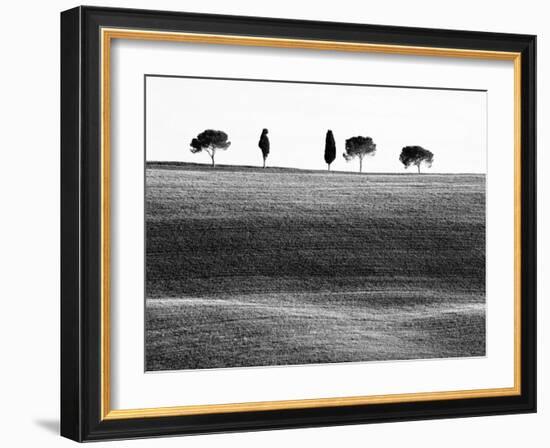 Classic Tuscan Landscape, Near San Quirico, Valle De Orcia, Tuscany, Italy-Nadia Isakova-Framed Photographic Print