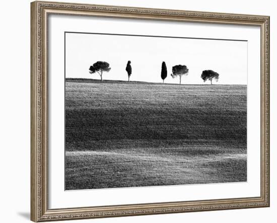 Classic Tuscan Landscape, Near San Quirico, Valle De Orcia, Tuscany, Italy-Nadia Isakova-Framed Photographic Print