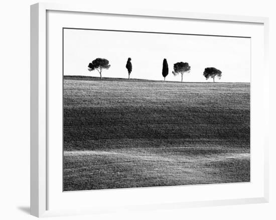 Classic Tuscan Landscape, Near San Quirico, Valle De Orcia, Tuscany, Italy-Nadia Isakova-Framed Photographic Print