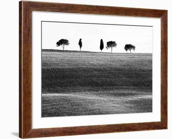 Classic Tuscan Landscape, Near San Quirico, Valle De Orcia, Tuscany, Italy-Nadia Isakova-Framed Photographic Print