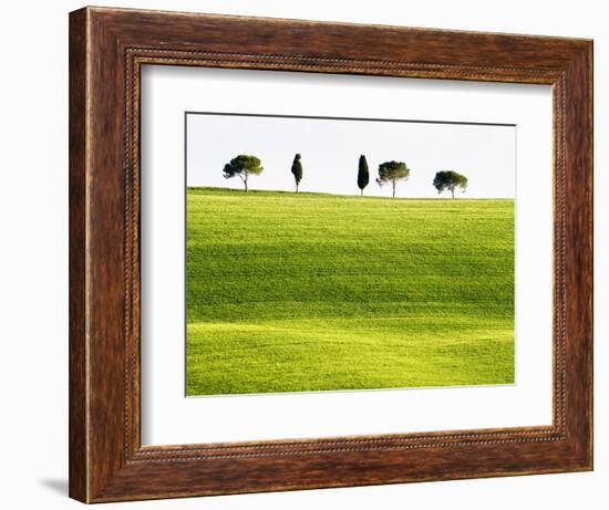 Classic Tuscan Landscape, Near San Quirico, Valle De Orcia, Tuscany, Italy-Nadia Isakova-Framed Photographic Print