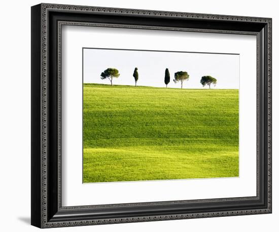 Classic Tuscan Landscape, Near San Quirico, Valle De Orcia, Tuscany, Italy-Nadia Isakova-Framed Photographic Print