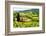 Classic Tuscan Landscape-Jeni Foto-Framed Photographic Print