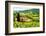 Classic Tuscan Landscape-Jeni Foto-Framed Photographic Print