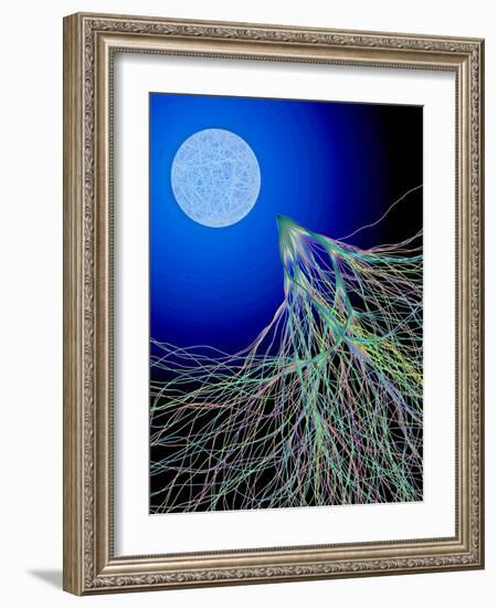 Classical And Quantum Chaos-Eric Heller-Framed Photographic Print