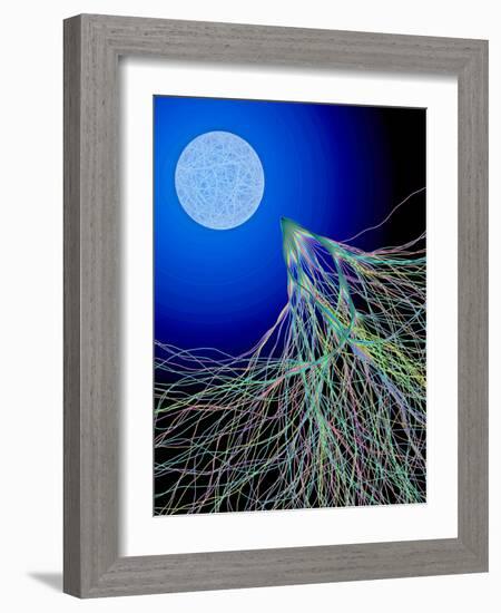 Classical And Quantum Chaos-Eric Heller-Framed Photographic Print