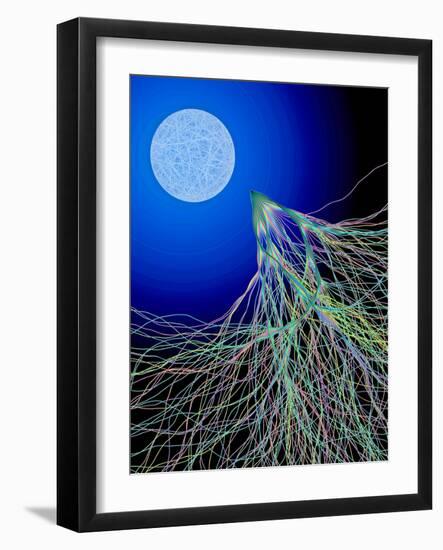 Classical And Quantum Chaos-Eric Heller-Framed Photographic Print