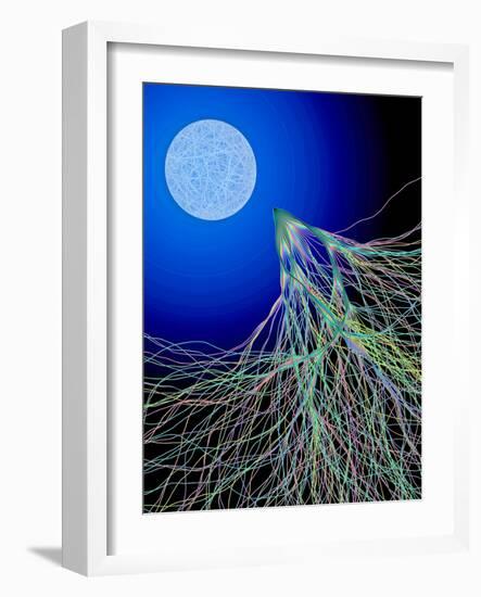 Classical And Quantum Chaos-Eric Heller-Framed Photographic Print