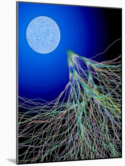 Classical And Quantum Chaos-Eric Heller-Mounted Photographic Print