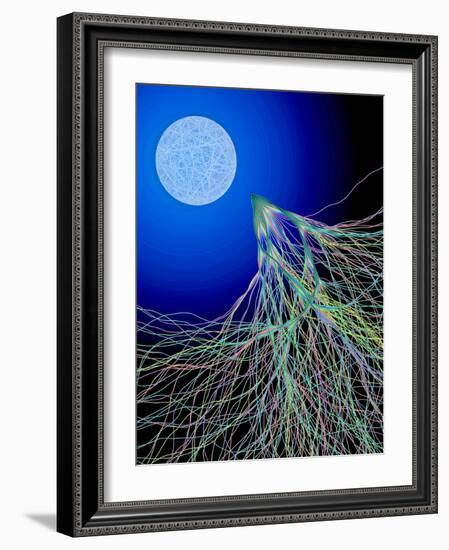 Classical And Quantum Chaos-Eric Heller-Framed Photographic Print