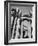 Classical Columns of the Palace of the Legion of Honor in Golden Gate Park-Walker Evans-Framed Photographic Print