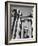 Classical Columns of the Palace of the Legion of Honor in Golden Gate Park-Walker Evans-Framed Photographic Print