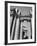 Classical Columns of the Palace of the Legion of Honor in Golden Gate Park-Walker Evans-Framed Photographic Print