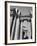 Classical Columns of the Palace of the Legion of Honor in Golden Gate Park-Walker Evans-Framed Photographic Print