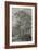 Classical Landscape Triptych III-Naomi McCavitt-Framed Art Print