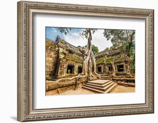 Classical Picture of Ta Prohm Temple, Angkor, Cambodia-dmitry kushch-Framed Photographic Print