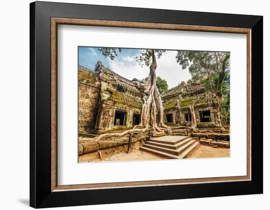 Classical Picture of Ta Prohm Temple, Angkor, Cambodia-dmitry kushch-Framed Photographic Print