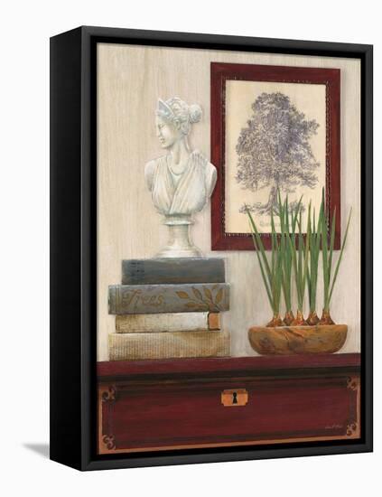 Classical Story-Arnie Fisk-Framed Stretched Canvas