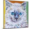 Classy Cat II-Carolee Vitaletti-Mounted Art Print