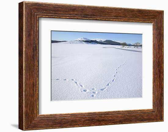 Clatteringshaws Loch, Frozen and Covered in Winter Snow, Dumfries and Galloway, Scotland, UK-Gary Cook-Framed Photographic Print