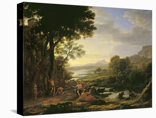 Stretched Canvas Print, , large