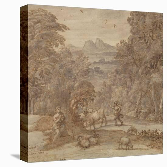 Stretched Canvas Print, , large
