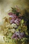 A Study of Lilac-Claude Massmann-Giclee Print