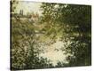 Stretched Canvas Print