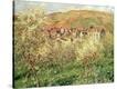 Stretched Canvas Print