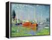Framed Canvas Print