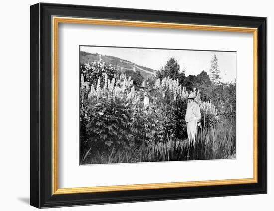 Claude Monet at Giverny, 1908-French Photographer-Framed Photographic Print