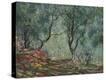 Stretched Canvas Print