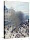 Stretched Canvas Print