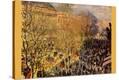 Stretched Canvas Print