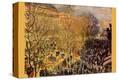 Stretched Canvas Print