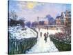Stretched Canvas Print
