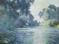 Olive Grove in the Moreno Garden, 1884-Claude Monet-Premier Image Canvas