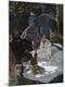 Premium Giclee Print