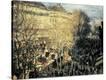 Stretched Canvas Print