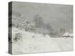 Stretched Canvas Print