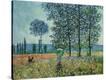 Stretched Canvas Print