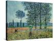 Stretched Canvas Print