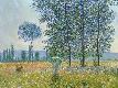 Premium Giclee Print