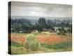 Stretched Canvas Print