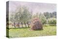 Stretched Canvas Print